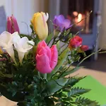 Ferienwohnung May Ehrenberg