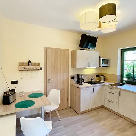 Apartment Ferienwohnung May Ehrenberg (Saxony)