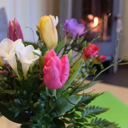 Ferienwohnung May Ehrenberg (Saxony)