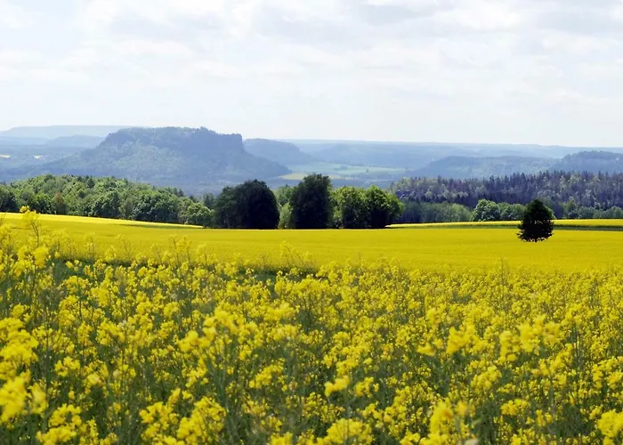 Lägenhet Ferienwohnung May *
