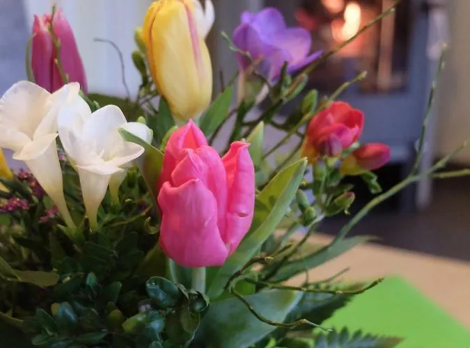 Ferienwohnung May Ehrenberg (Saxony)